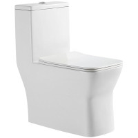 Напольный унитаз Amore di Mare Averno M608  Напольный унитаз Amore di Mare Averno M608