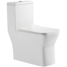 Напольный унитаз Amore di Mare Averno M608  Напольный унитаз Amore di Mare Averno M608