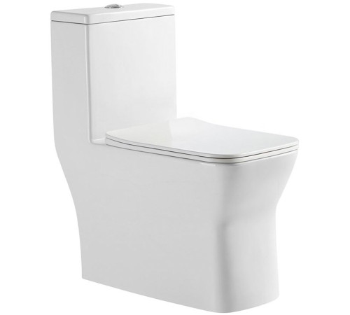 Напольный унитаз Amore di Mare Averno M608  Напольный унитаз Amore di Mare Averno M608