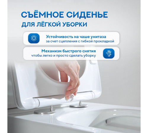 Напольный унитаз Amore di Mare Tronto Bidet N900-X с функцией биде Напольный унитаз Amore di Mare Tronto Bidet N900-X с функцией биде