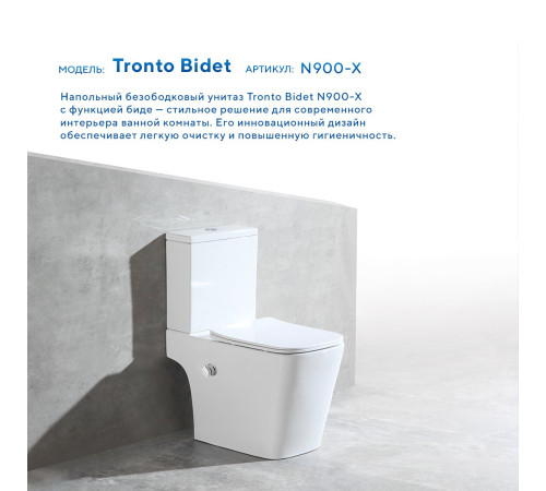 Напольный унитаз Amore di Mare Tronto Bidet N900-X с функцией биде Напольный унитаз Amore di Mare Tronto Bidet N900-X с функцией биде