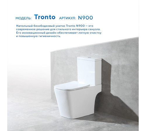 Напольный унитаз Amore di Mare Tronto Bidet N900-X с функцией биде Напольный унитаз Amore di Mare Tronto Bidet N900-X с функцией биде