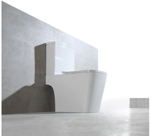 Напольный унитаз Amore di Mare Tronto N900 Напольный унитаз Amore di Mare Tronto N900