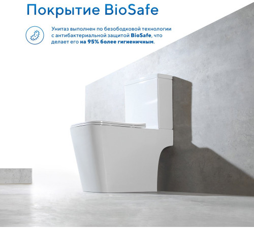 Напольный унитаз Amore di Mare Tronto N900 Напольный унитаз Amore di Mare Tronto N900