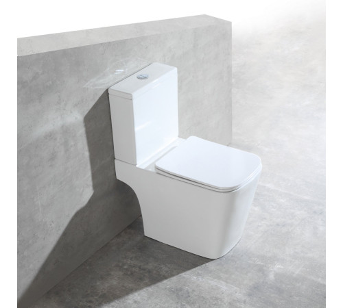 Напольный унитаз Amore di Mare Tronto Bidet N900-X с функцией биде Напольный унитаз Amore di Mare Tronto Bidet N900-X с функцией биде