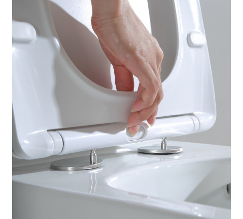 Напольный унитаз Amore di Mare Tronto N900 Напольный унитаз Amore di Mare Tronto N900