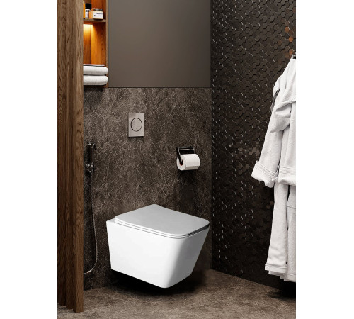 Подвесной унитаз Amore di Mare Tassaro Tornado P202-T  Подвесной унитаз Amore di Mare Tassaro Tornado P202-T