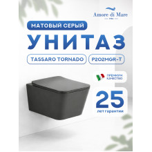 Подвесной унитаз Amore di Mare Tassaro Tornado P202MGR-T