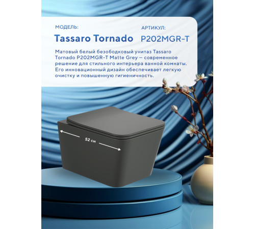 Подвесной унитаз Amore di Mare Tassaro Tornado P202MGR-T