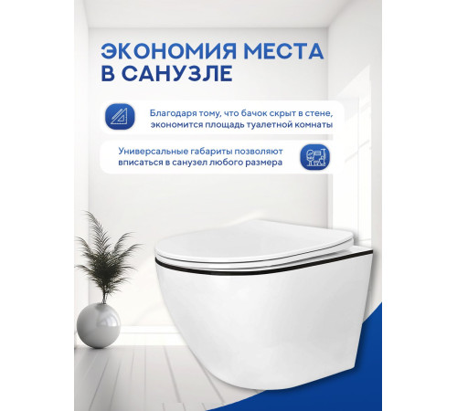 Подвесной унитаз Amore di Mare Delio P203B Black Line  Подвесной унитаз Amore di Mare Delio P203B Black Line