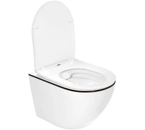 Подвесной унитаз Amore di Mare Delio P203B Black Line  Подвесной унитаз Amore di Mare Delio P203B Black Line