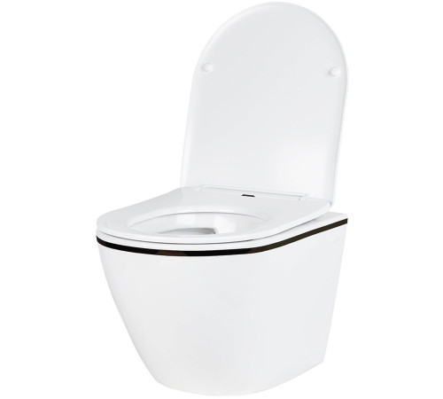 Подвесной унитаз Amore di Mare Delio P203B Black Line  Подвесной унитаз Amore di Mare Delio P203B Black Line