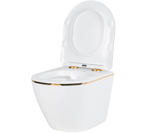 Подвесной унитаз Amore di Mare Delio P203G Gold Line Подвесной унитаз Amore di Mare Delio P203G Gold Line