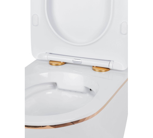 Подвесной унитаз Amore di Mare Delio P203G Gold Line Подвесной унитаз Amore di Mare Delio P203G Gold Line