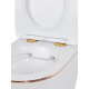 Комплект инсталляции Weltwasser Marberg 507 с кнопкой 507 RD  и подвесным унитазом Amore di Mare Delio P203 Gold Line
