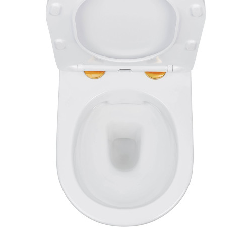 Подвесной унитаз Amore di Mare Delio P203G Gold Line Подвесной унитаз Amore di Mare Delio P203G Gold Line