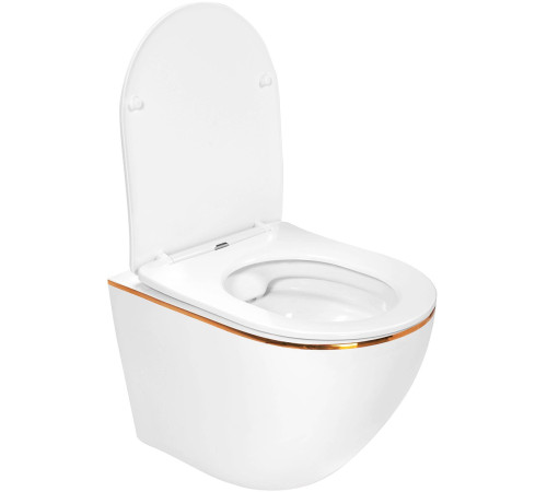 Подвесной унитаз Amore di Mare Delio P203G Gold Line Подвесной унитаз Amore di Mare Delio P203G Gold Line