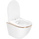 Комплект инсталляции Weltwasser Marberg 507 с кнопкой 507 RD  и подвесным унитазом Amore di Mare Delio P203 Gold Line