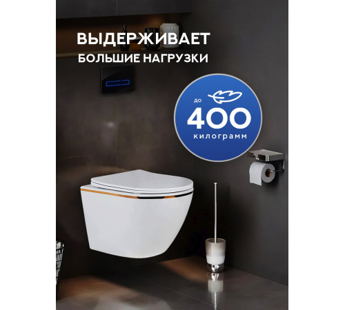 Подвесной унитаз Amore di Mare Delio P203G Gold Line Подвесной унитаз Amore di Mare Delio P203G Gold Line