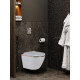 Комплект инсталляции Weltwasser Marberg 507 с кнопкой 507 RD  и подвесным унитазом Amore di Mare Delio P203 Gold Line