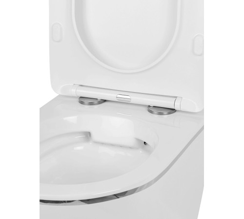 Подвесной унитаз Amore di Mare Delio P203S Silver Line  Подвесной унитаз Amore di Mare Delio P203S Silver Line