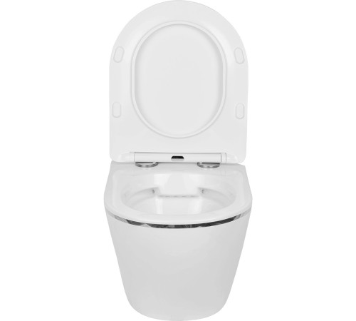 Подвесной унитаз Amore di Mare Delio P203S Silver Line  Подвесной унитаз Amore di Mare Delio P203S Silver Line