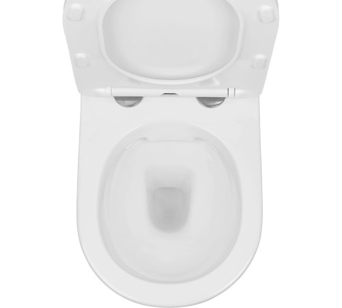 Подвесной унитаз Amore di Mare Delio P203S Silver Line  Подвесной унитаз Amore di Mare Delio P203S Silver Line