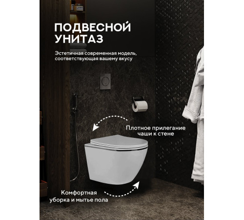 Подвесной унитаз Amore di Mare Delio P203S Silver Line  Подвесной унитаз Amore di Mare Delio P203S Silver Line