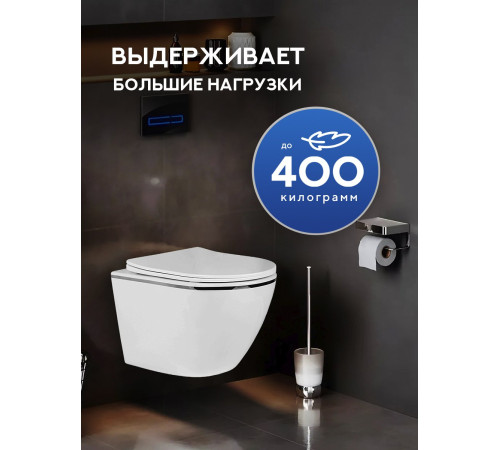 Подвесной унитаз Amore di Mare Delio P203S Silver Line  Подвесной унитаз Amore di Mare Delio P203S Silver Line