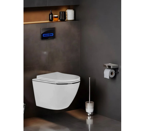 Подвесной унитаз Amore di Mare Delio P203S Silver Line  Подвесной унитаз Amore di Mare Delio P203S Silver Line