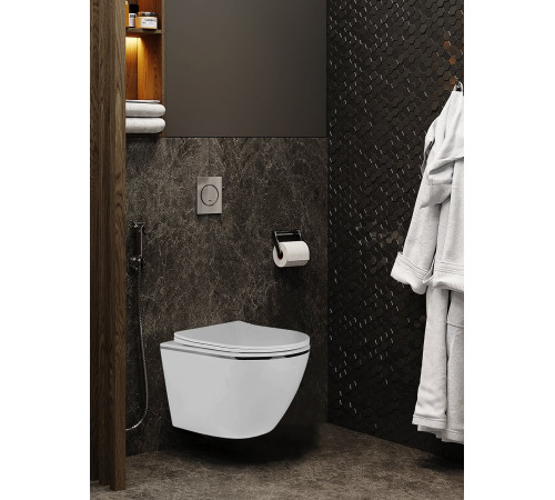 Подвесной унитаз Amore di Mare Delio P203S Silver Line  Подвесной унитаз Amore di Mare Delio P203S Silver Line