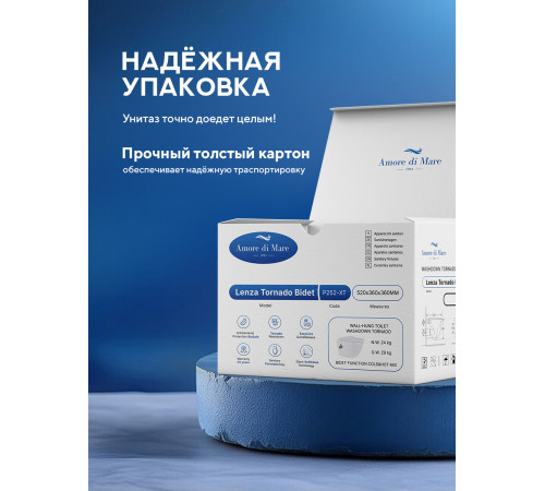 Комплект: инсталляция TECEprofil 9300302 c подвесным унитазом Amore di Mare Lenza Tornado Bidet P252-XT