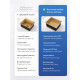 Кухонная мойка Amore di Mare Alveo Gold AL5444G-1 с сифоном и дозатором   540х440х220  золото