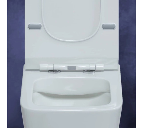Комплект инсталляции Berges Novum 525 c кнопкой F3 хром и унитазом Floe Rimless Soft Close (043223)