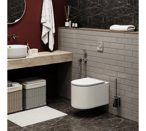 Подвесной унитаз Cerutti Tanaro Aria MW CT9236 / Tanaro Aria CT8910 безободковый с крышкой SoftClose Подвесной унитаз Cerutti Tanaro Aria MW CT9236 / Tanaro Aria CT8910 безободковый с крышкой SoftClose