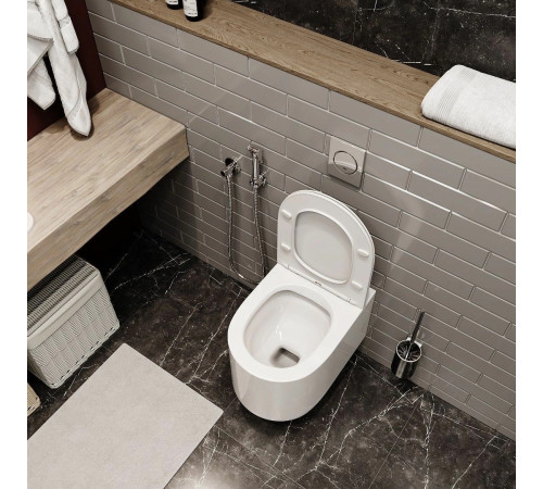 Подвесной унитаз Cerutti Tanaro Aria MW CT9236 / Tanaro Aria CT8910 безободковый с крышкой SoftClose Подвесной унитаз Cerutti Tanaro Aria MW CT9236 / Tanaro Aria CT8910 безободковый с крышкой SoftClose