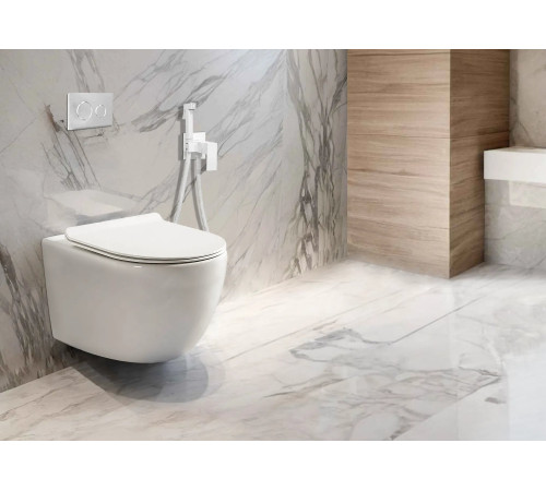 Подвесной унитаз Cerutti Clio Aria Tornado CT10582 безободковый Подвесной унитаз Cerutti Clio Aria Tornado CT10582 безободковый