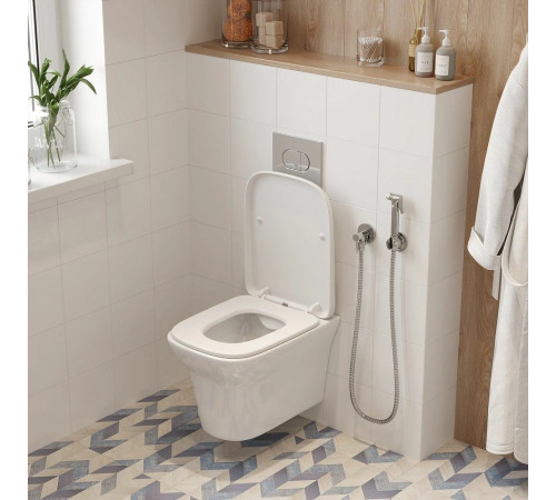 Подвесной унитаз Cerutti Ami CT8780 безободковый с крышкой SoftClose Подвесной унитаз Cerutti Ami CT8780 безободковый с крышкой SoftClose