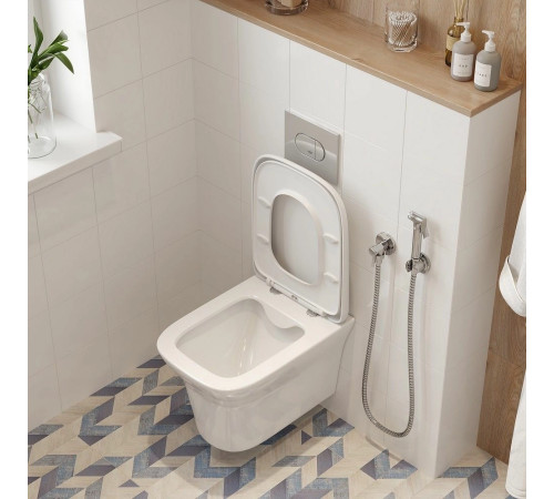 Подвесной унитаз Cerutti Ami CT8780 безободковый с крышкой SoftClose Подвесной унитаз Cerutti Ami CT8780 безободковый с крышкой SoftClose