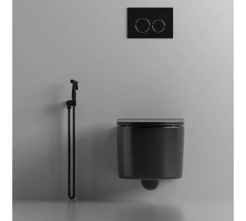 Подвесной унитаз Cerutti Tanaro Aria MB CT9238 безободковый с крышкой SoftClose Подвесной унитаз Cerutti Tanaro Aria MB CT9238 безободковый с крышкой SoftClose