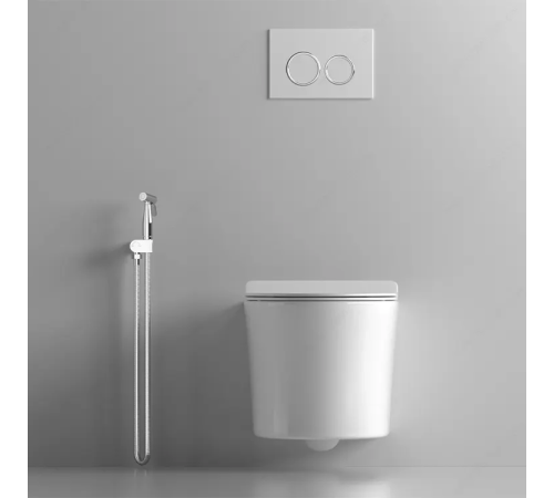  Подвесной унитаз Cerutti Adige Aria MW CT9245 / Adige Aria CT7837 безободковый с крышкой SoftClose