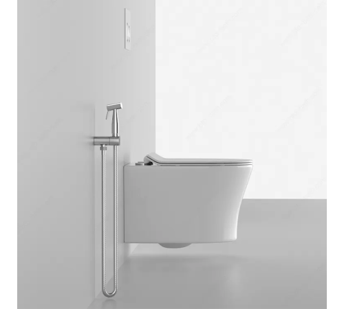 Подвесной унитаз Cerutti Adige Aria MW CT9245 / Adige Aria CT7837 безободковый с крышкой SoftClose