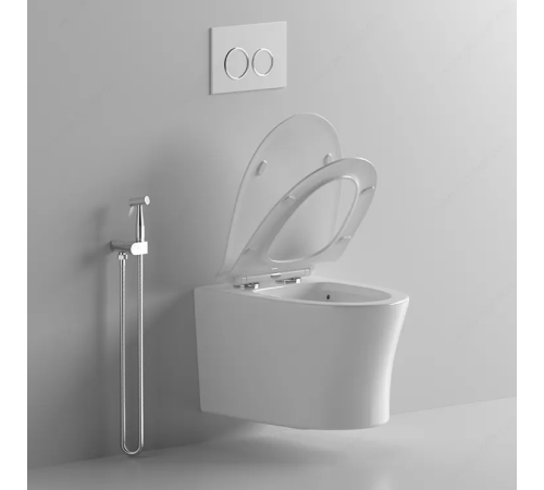  Подвесной унитаз Cerutti Adige Aria MW CT9245 / Adige Aria CT7837 безободковый с крышкой SoftClose