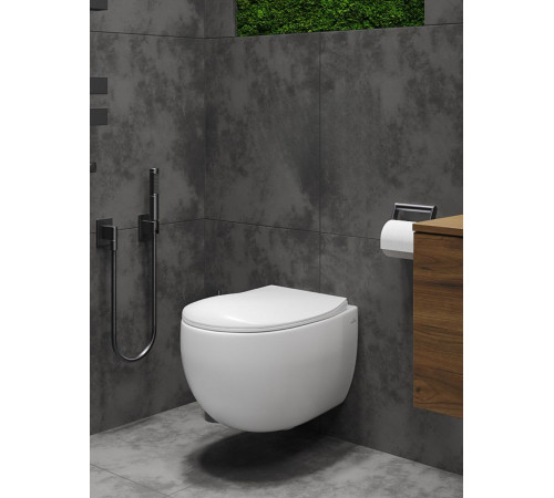 Комплект 6 в 1: инсталляция Grohe Rapid SL 38772001 с унитазом Roxen EGG 530170-01 Rimless Soft Close