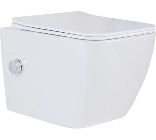 Подвесной унитаз Roxen Cube Bidet 530135-01X Rimless Soft Close с функцией биде Подвесной унитаз Roxen Cube Bidet 530135-01X Rimless Soft Close с функцией биде