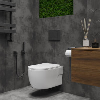 Подвесной унитаз Roxen Porto 530155-01 Rimless Soft Close  Подвесной унитаз Roxen Porto 530155-01 Rimless Soft Close