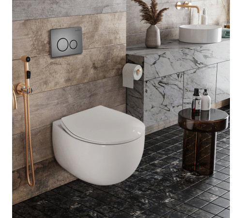 Подвесной унитаз Roxen EGG 530170-01 Rimless Soft Close Подвесной унитаз Roxen EGG 530170-01 Rimless Soft Close