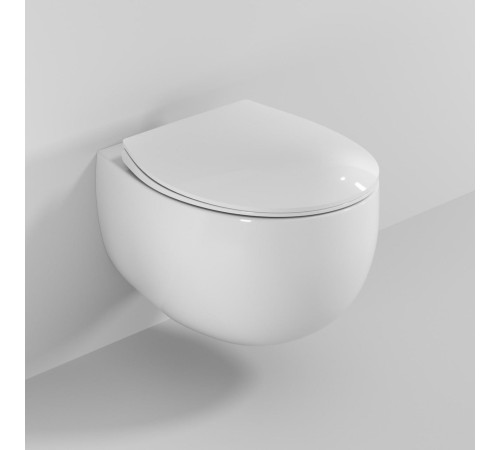 Подвесной унитаз Roxen EGG 530170-01 Rimless Soft Close Подвесной унитаз Roxen EGG 530170-01 Rimless Soft Close