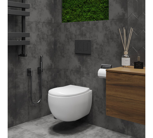 Подвесной унитаз Roxen EGG 530170-01 Rimless Soft Close Подвесной унитаз Roxen EGG 530170-01 Rimless Soft Close