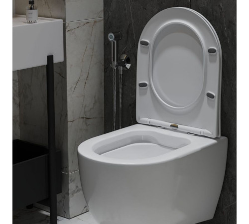 Подвесной унитаз Roxen Antares 530185-01 Rimless Soft Close Подвесной унитаз Roxen Antares 530185-01 Rimless Soft Close